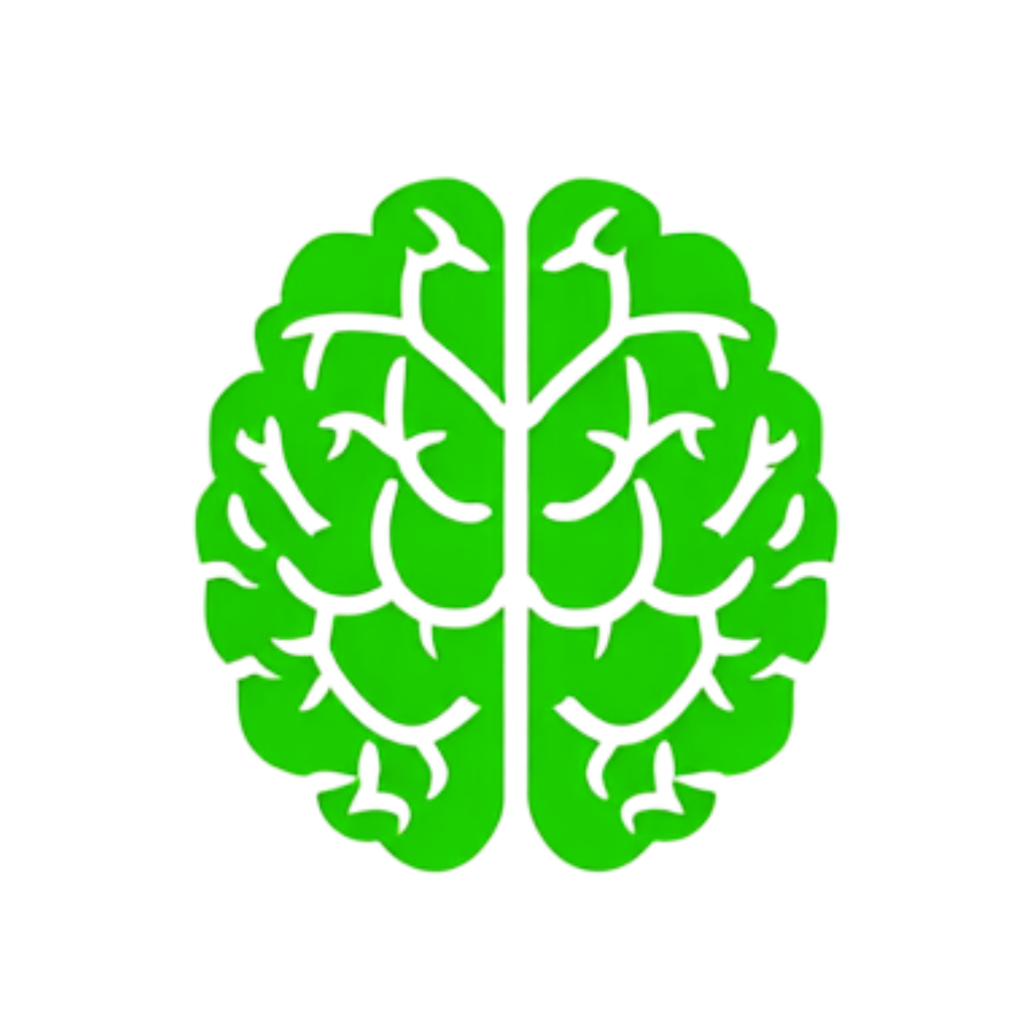 Cosmin Brain